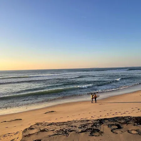 Daire Spacious In Sunny Minutes To