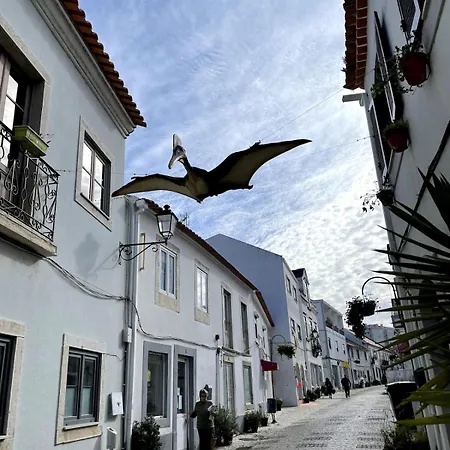 Spacious In Sunny Minutes To Lourinhã