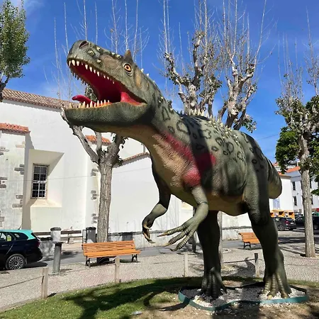 Spacious In Sunny Minutes To Daire